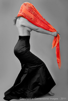 Copyright © 2024 by Cornerstone Images