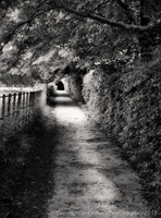 Copyright © 2024 by Cornerstone Images