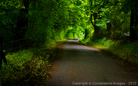 Copyright © 2024 by Cornerstone Images