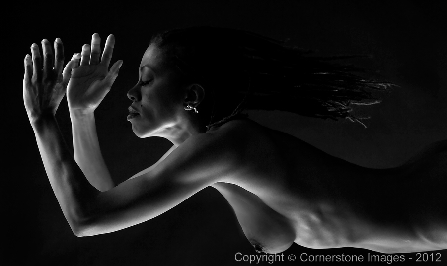 BINA : Fine Art Nudes 4 : The Photographic Art of Bill Shippey - CORNERSTONE IMAGES - Head Shots, Portraits, Fine Art, Maternity, Children