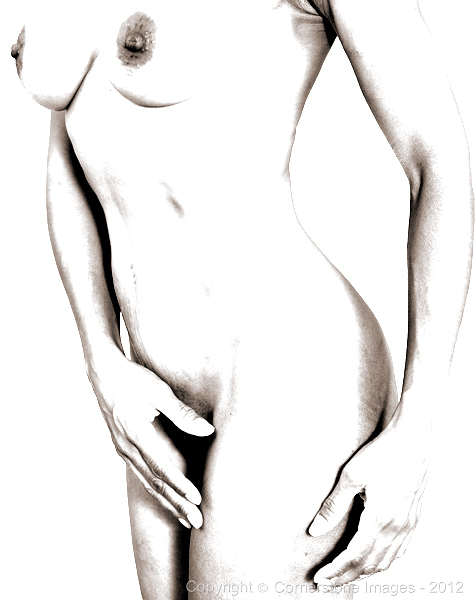 BINA : Fine Art Nudes 1 : The Photographic Art of Bill Shippey - CORNERSTONE IMAGES - Head Shots, Portraits, Fine Art, Maternity, Children