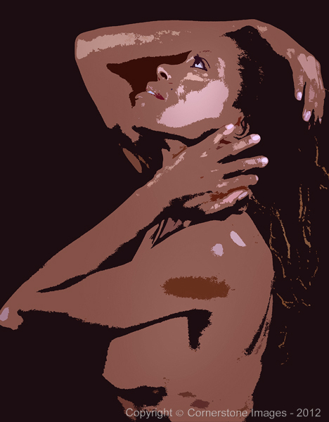 BINA : Fine Art Nudes 1 : The Photographic Art of Bill Shippey - CORNERSTONE IMAGES - Head Shots, Portraits, Fine Art, Maternity, Children