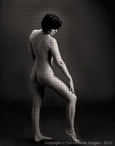 ANN : Fine Art Nudes 1 : The Photographic Art of Bill Shippey - CORNERSTONE IMAGES - Head Shots, Portraits, Fine Art, Maternity, Children