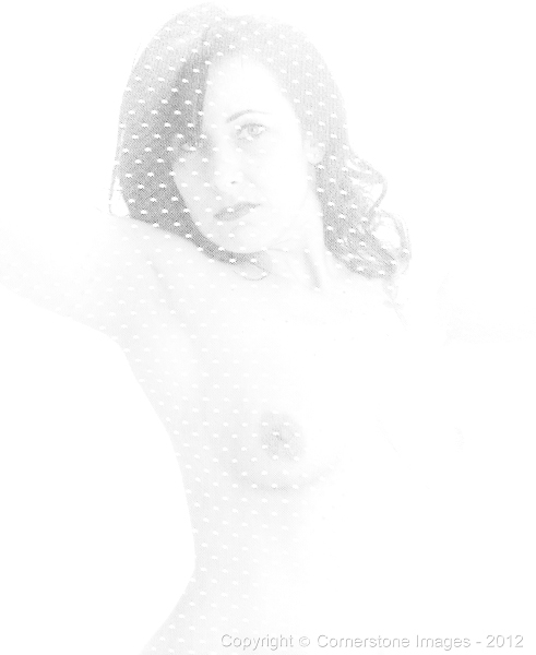 COLLETTE : Fine Art Nudes 1 : The Photographic Art of Bill Shippey - CORNERSTONE IMAGES - Head Shots, Portraits, Fine Art, Maternity, Children