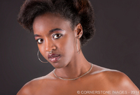 Copyright © 2024 by Cornerstone Images