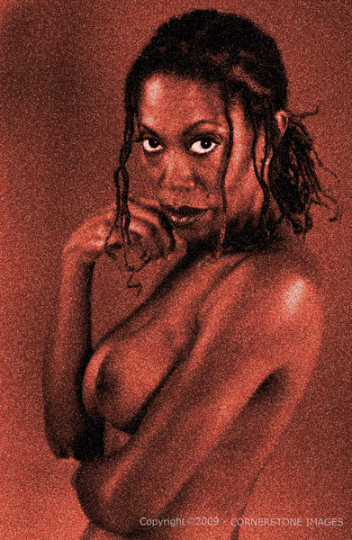 BINA : Fine Art Nudes 4 : The Photographic Art of Bill Shippey - CORNERSTONE IMAGES - Head Shots, Portraits, Fine Art, Maternity, Children