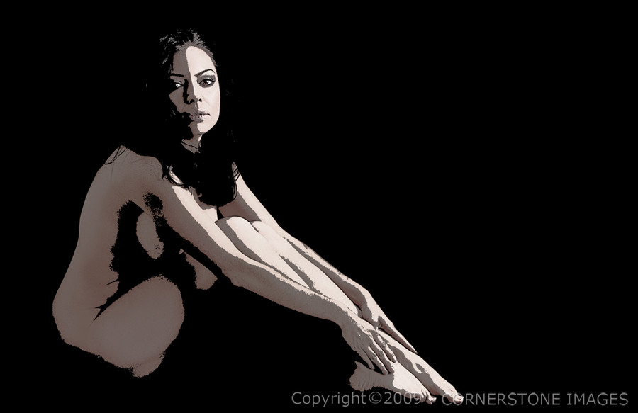 VENUS : Fine Art Nudes 4 : The Photographic Art of Bill Shippey - CORNERSTONE IMAGES - Head Shots, Portraits, Fine Art, Maternity, Children